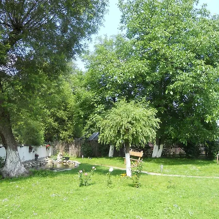 Silvana Guest house