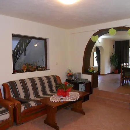 Guest house Silvana Moieciu de Jos